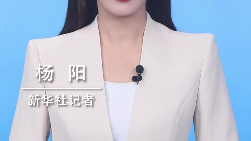大数据分析系统：成本构成与选购要点**